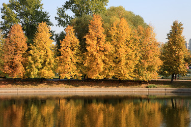 Similar image 21758108