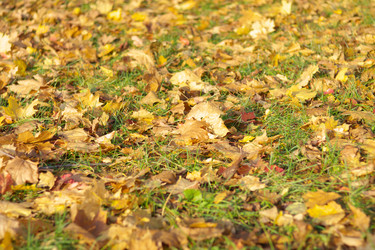 Similar image 21758113