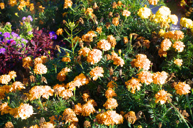 Similar image 21758140