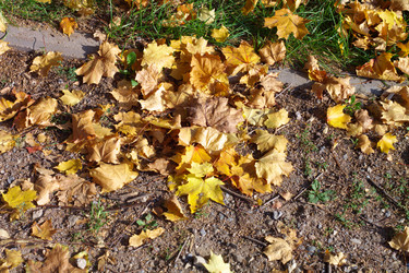 Similar image 21758151