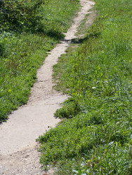 Similar image 21758153