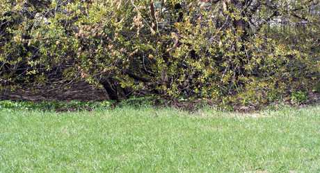 Similar image 21758155