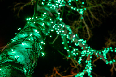 Similar image 21758164