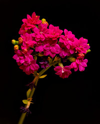 Similar image 21765041