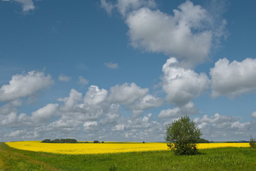 Similar image 21765052