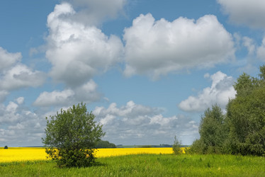 Similar image 21765217