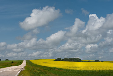 Similar image 21765218