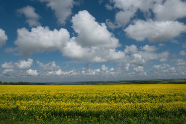 Similar image 21765219