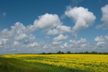 Similar image 21765220