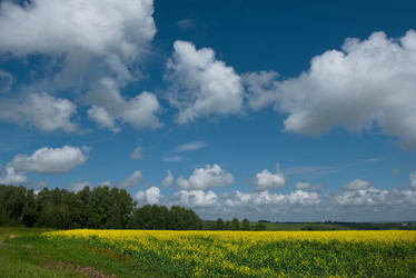 Similar image 21765221