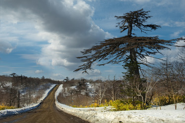 Similar image 21758165