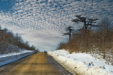 Similar image 21758166