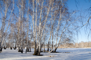 Similar image 21758204