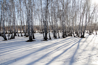 Similar image 21758207