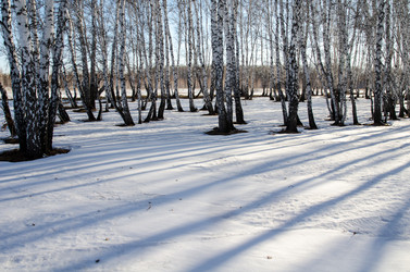 Similar image 21758208