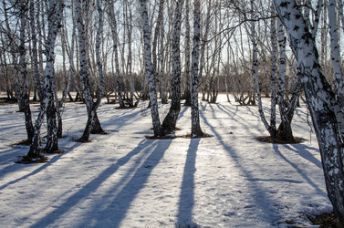 Similar image 21758209