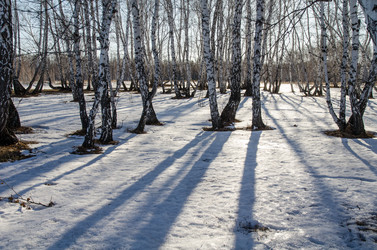 Similar image 21758211