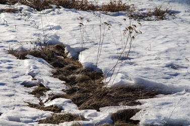 Similar image 21758213