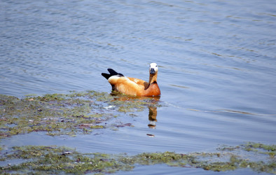 Similar image 21758457