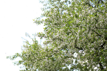 Similar image 21758493