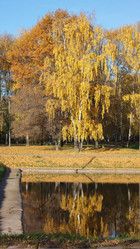 Similar image 21758495