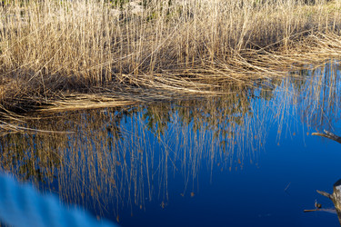 Similar image 21758215