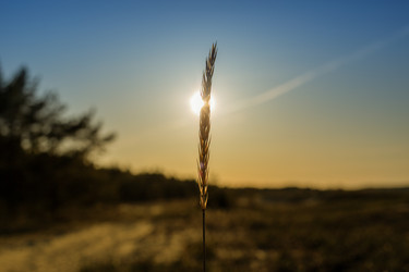 Similar image 21758221