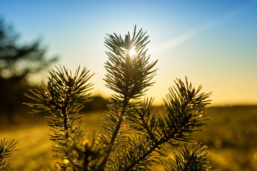 Similar image 21758222