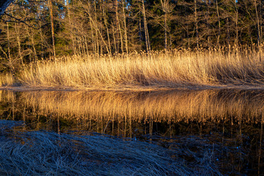 Similar image 21758225