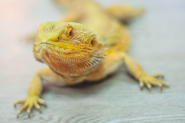 Similar image 21758232