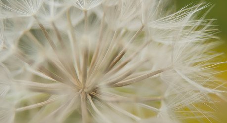 Similar image 21758233