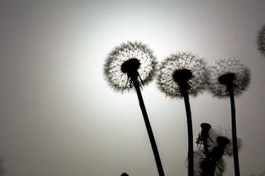 Similar image 21758235