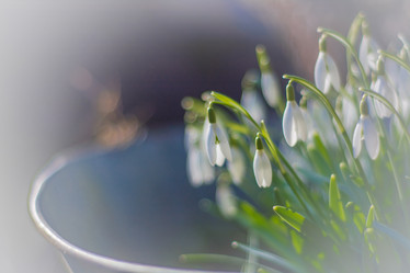 Similar image 21758236