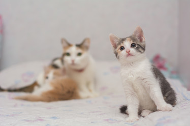 Similar image 21758237