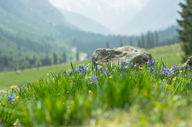 Similar image 21758238