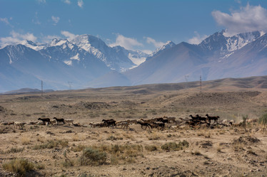 Similar image 21758240