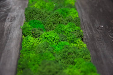 Similar image 21758243