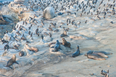 Similar image 21758247