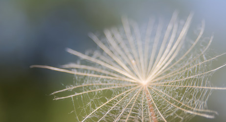 Similar image 21758248