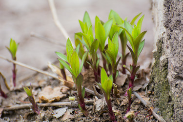 Similar image 21758251