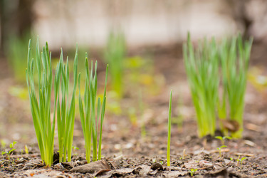 Similar image 21758252