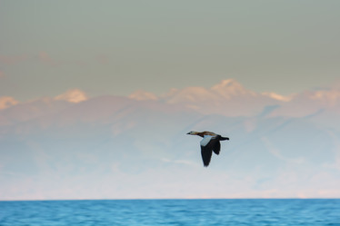 Similar image 21758253