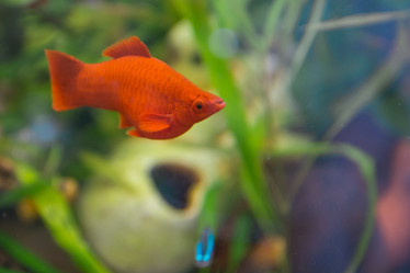 Similar image 21758257