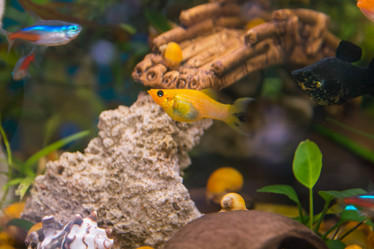 Similar image 21758260