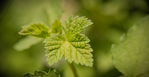 Similar image 21758264