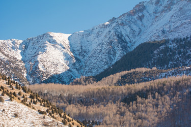 Similar image 21758266