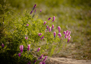 Similar image 21758270