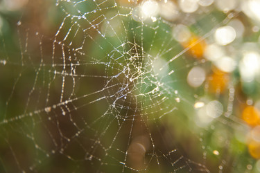 Similar image 21758272