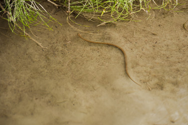 Similar image 21758275