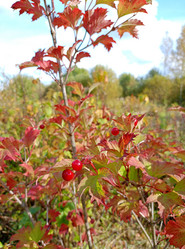 Similar image 21762604